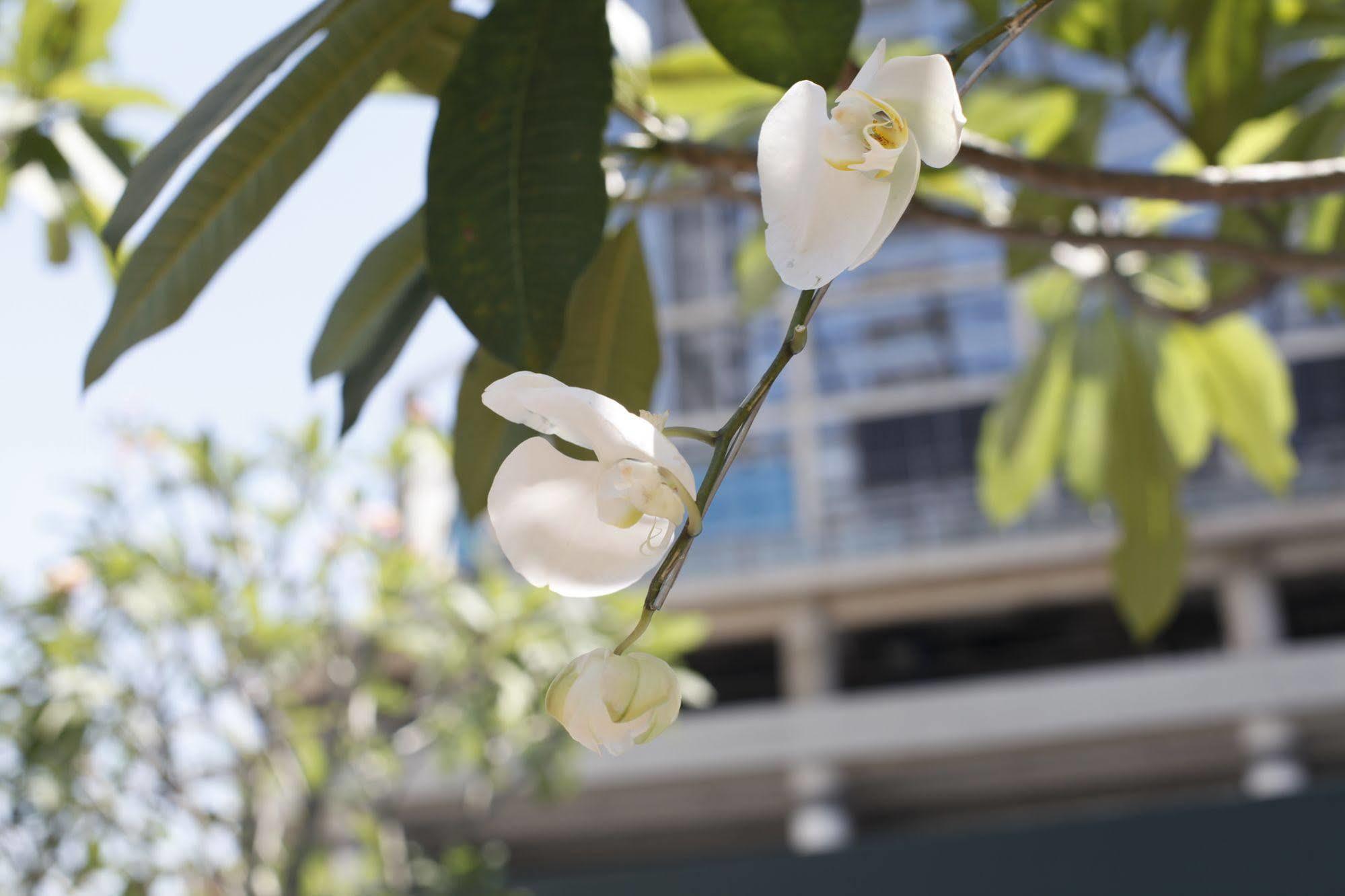 Four Points By Sheraton Surabaya, Tunjungan Plaza Exteriér fotografie